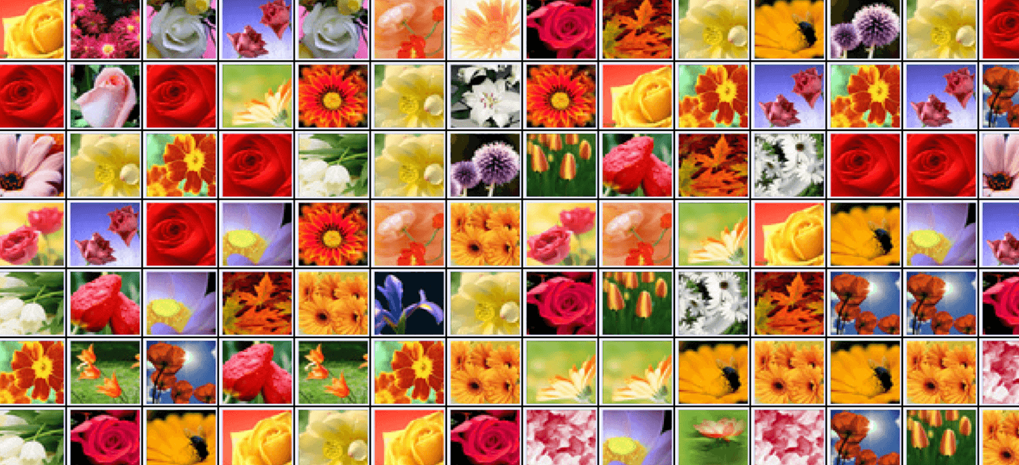 Flower Country Connect full screen